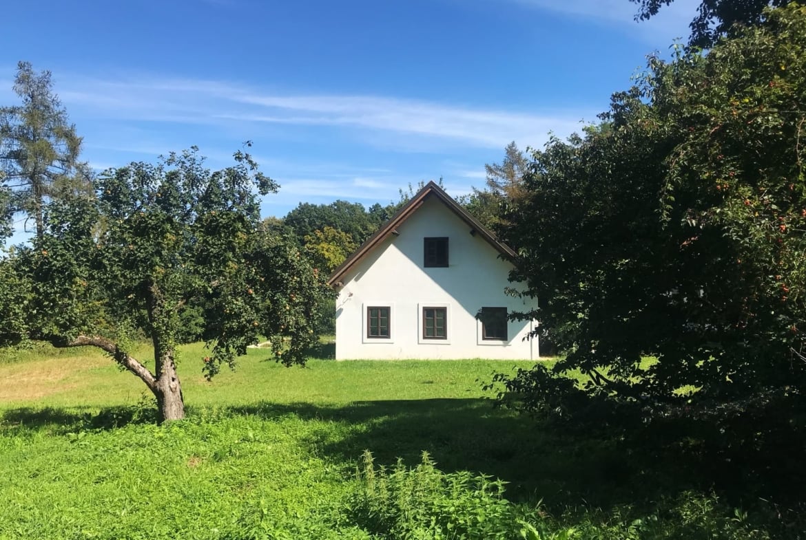 Bauernhaus mit Scheune in absoluter Alleinlage