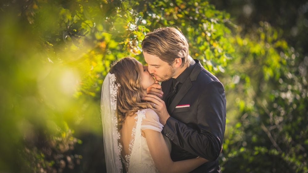 Vivid Symphony Photography