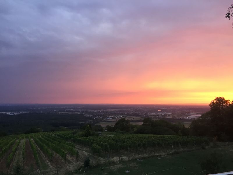 Schöne Aussicht – die Traumlocation für Ihre Hochzeit