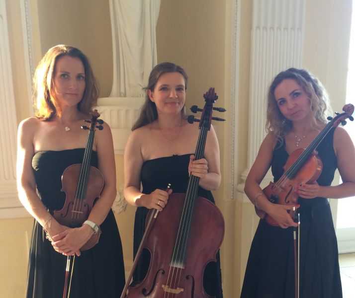 Vandarte Streichensemble, Musik mit Klasse