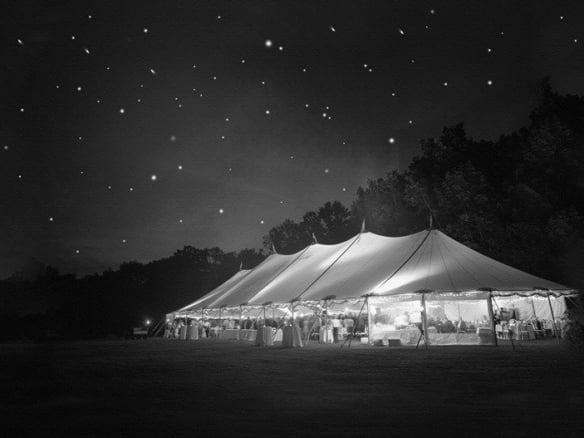 FINE WEDDINGS & PARTIES by Nadine Metgenberg