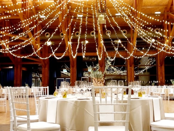 Hochzeit in Müllheim