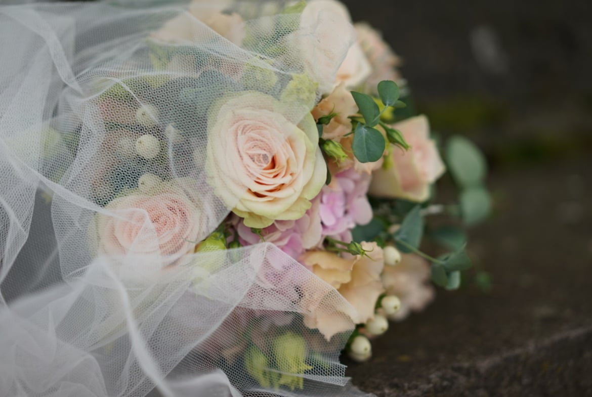 Fotografie, Hochzeit, Portät, Tiere