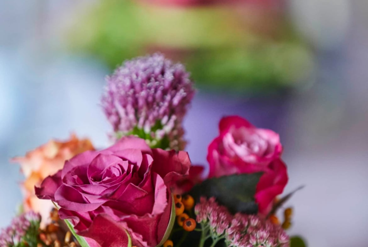 Freie Rednerin und Eventmanagement