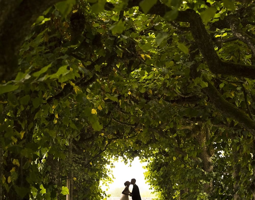 Hochzeitsfotografie – Falkenberg Photography