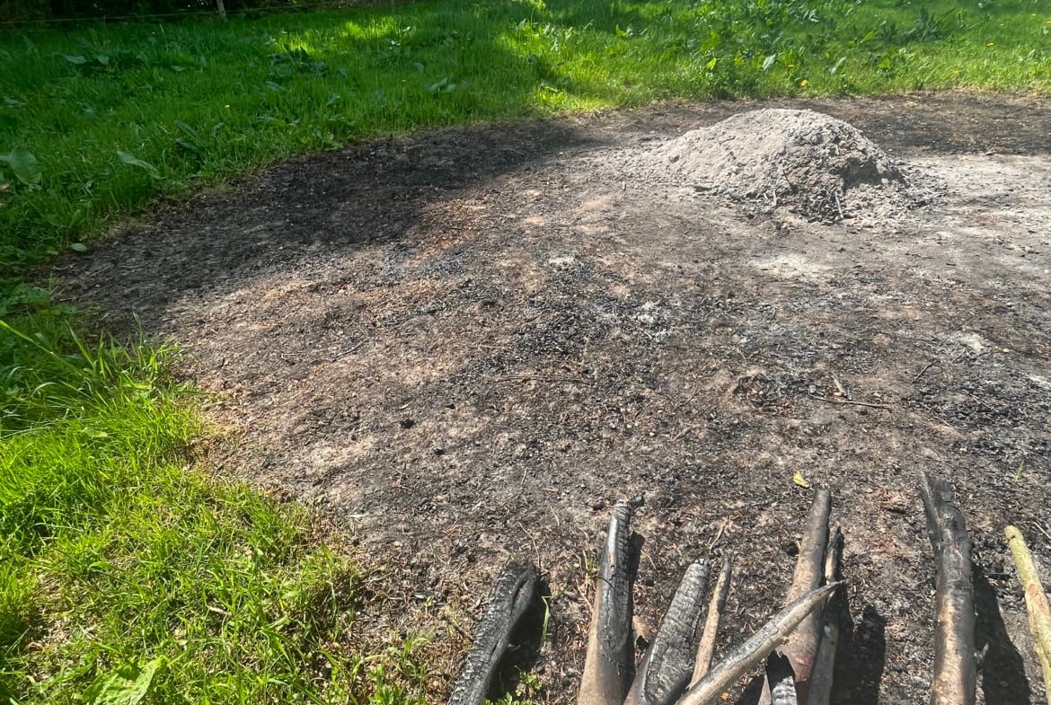 Waldhochzeit – Wiese in Alleinlage direkt am Wald