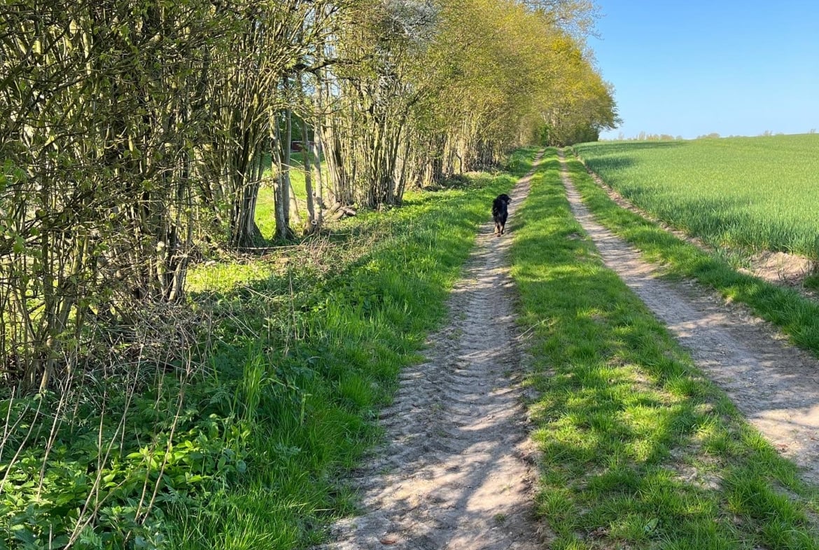 Waldhochzeit – Wiese in Alleinlage direkt am Wald