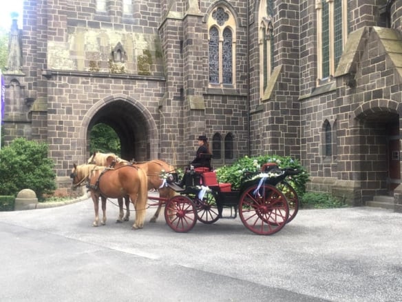 Hochzeitskutsche Taunus, Rhein-Main, Wetterau