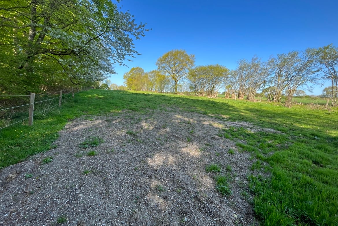 Waldhochzeit – Wiese in Alleinlage direkt am Wald