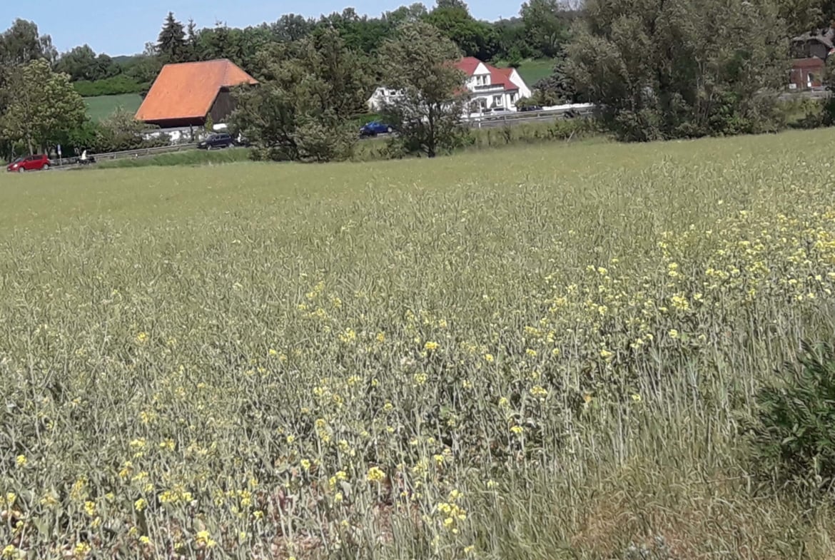 Landhochzeit in der Müritzregion