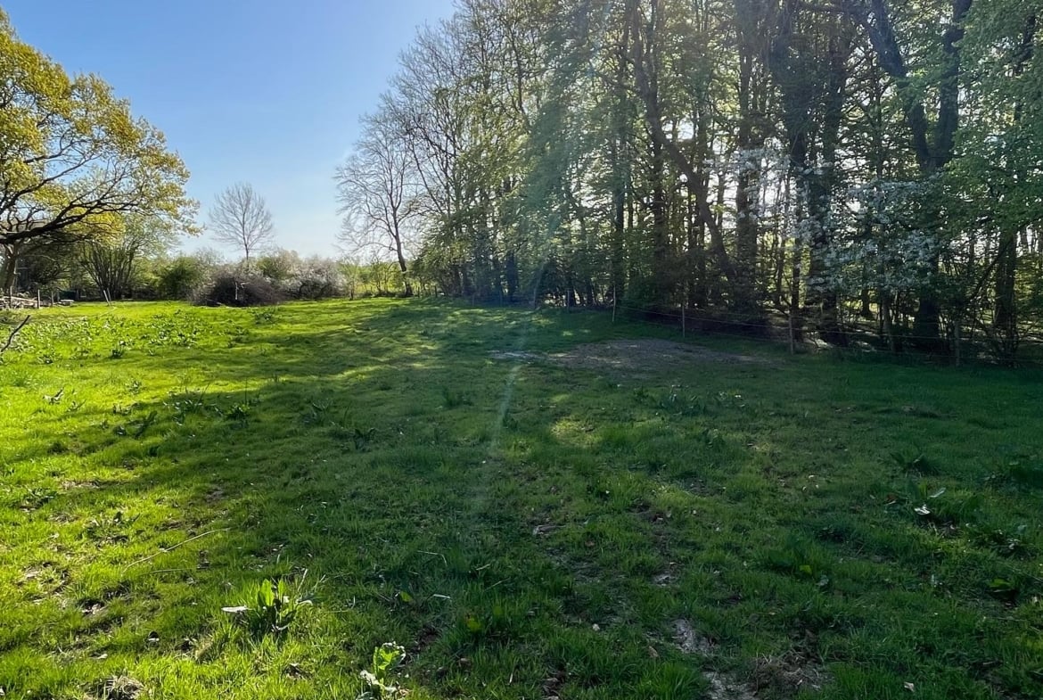 Waldhochzeit – Wiese in Alleinlage direkt am Wald