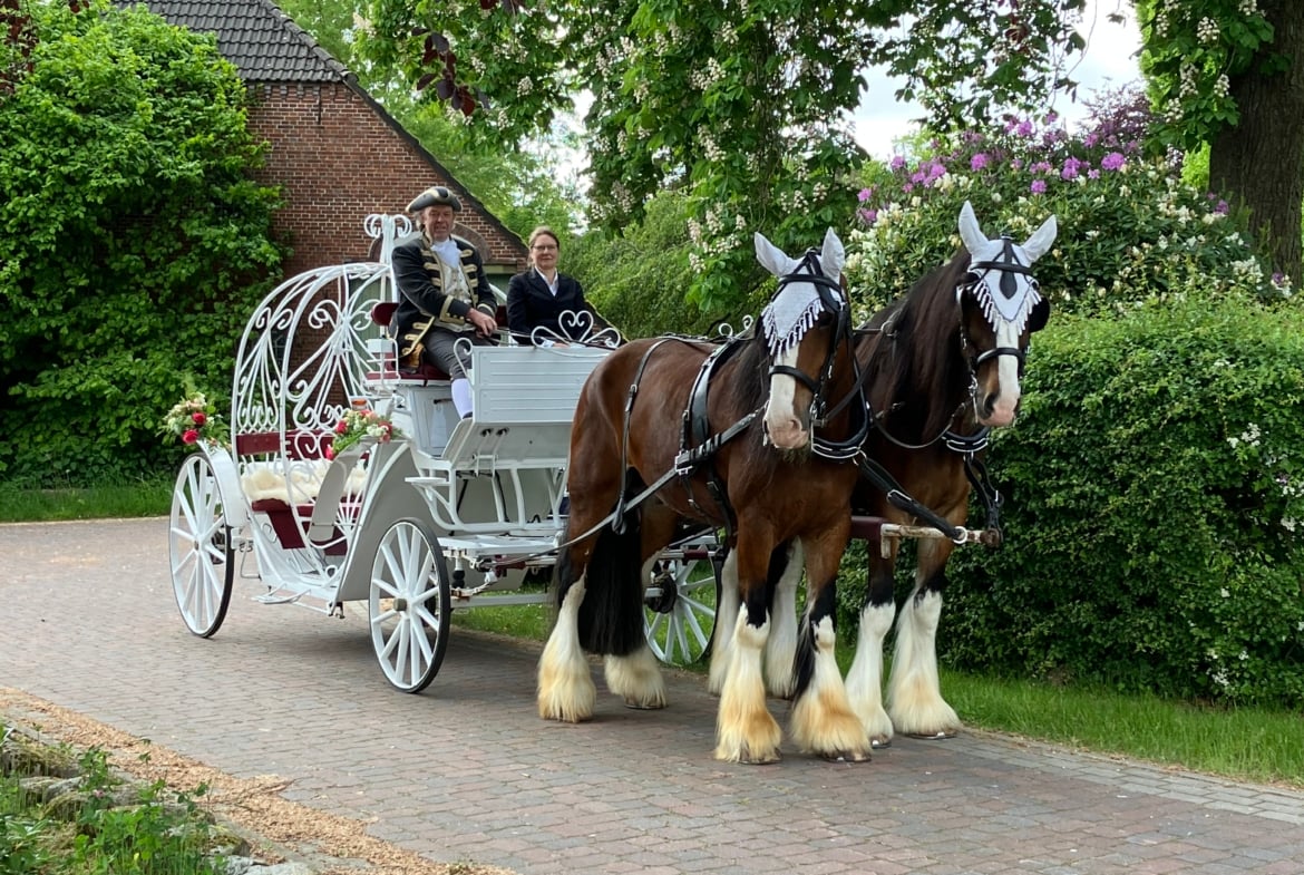 Hochzeitsfahrten