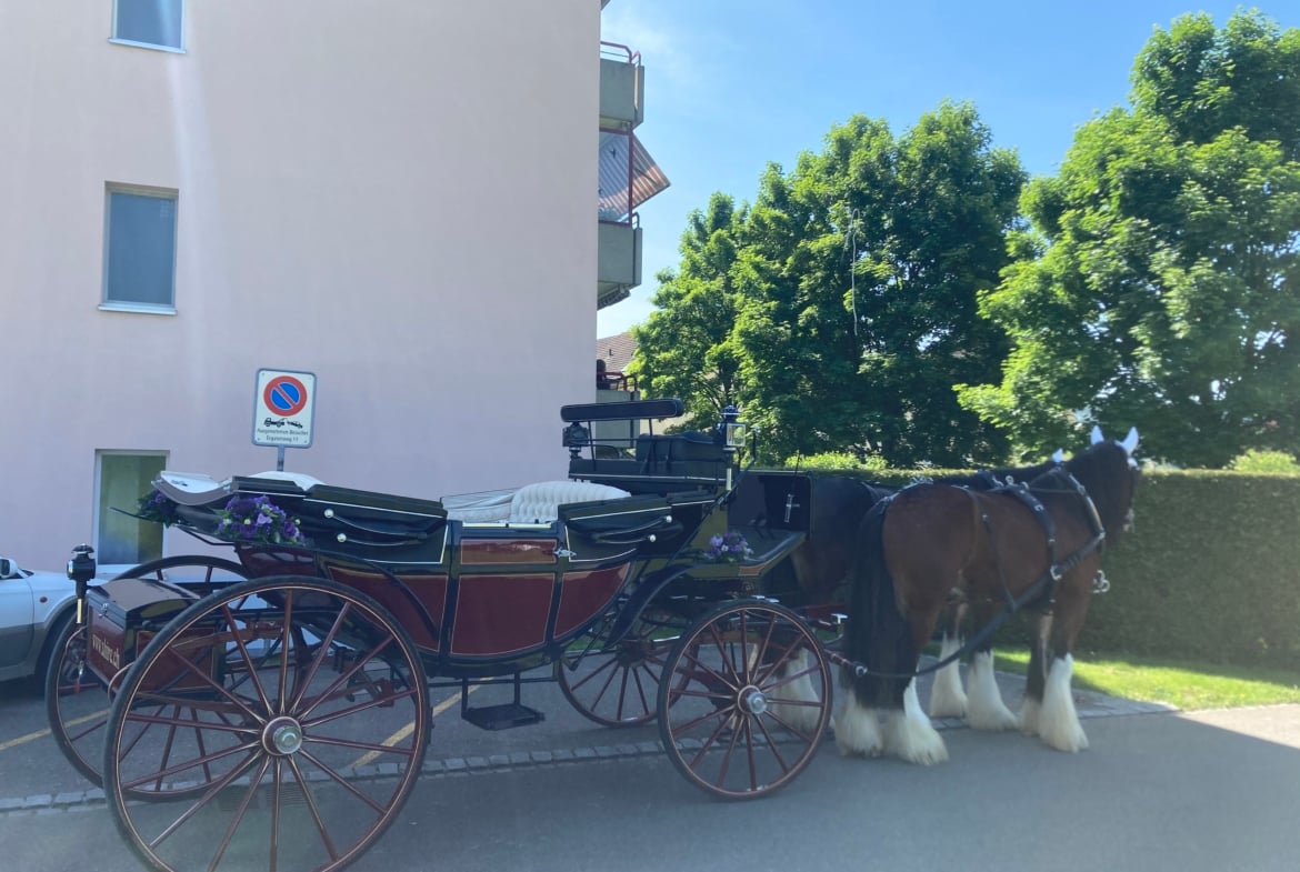 Hochzeitsfahrten