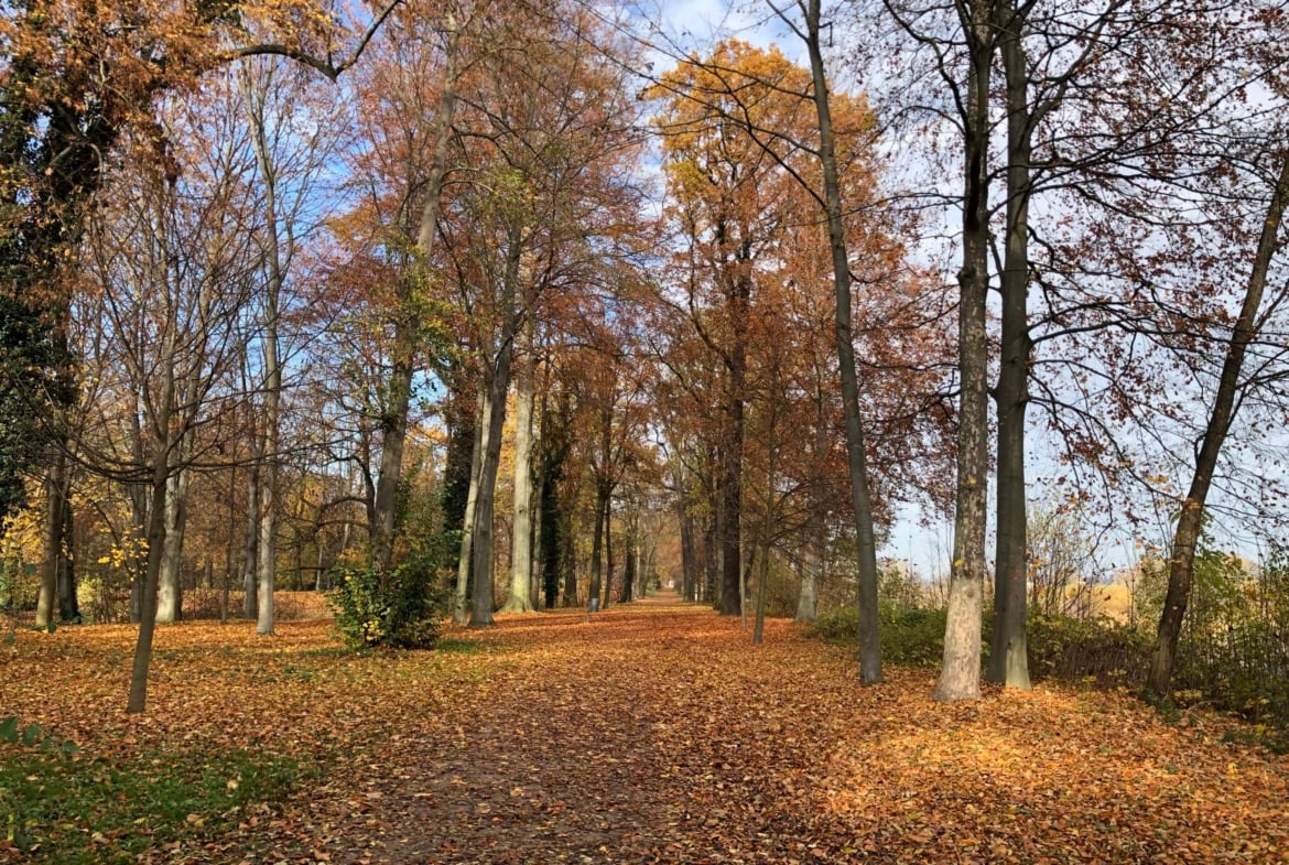 Ihre Traumhochzeit auf Schloss Trebsen