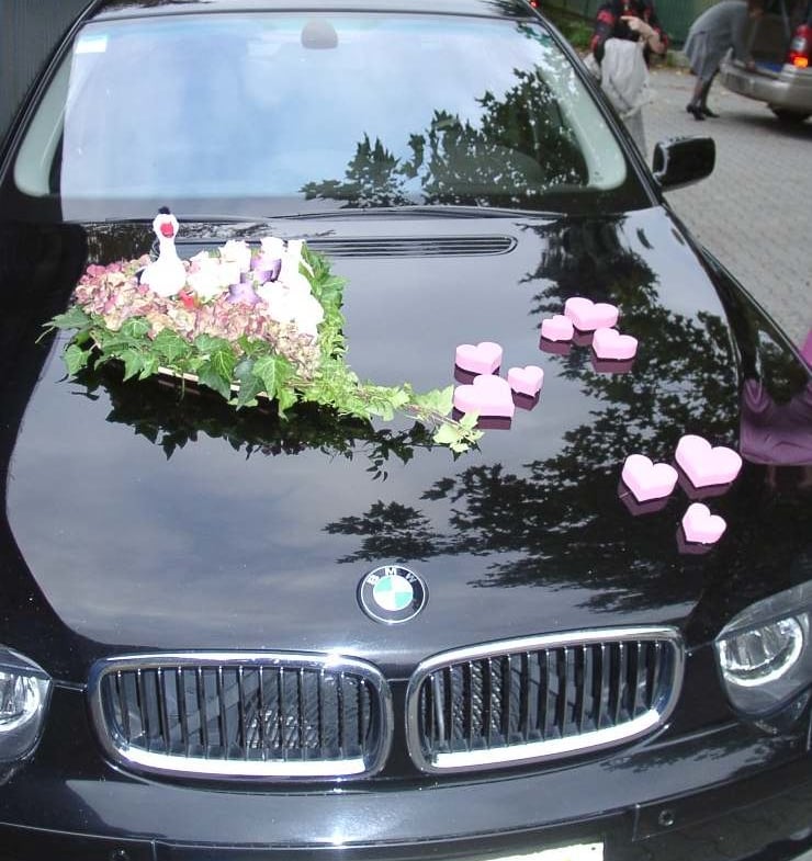 Blumen-Hecktor