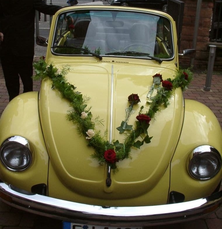 Blumen-Hecktor