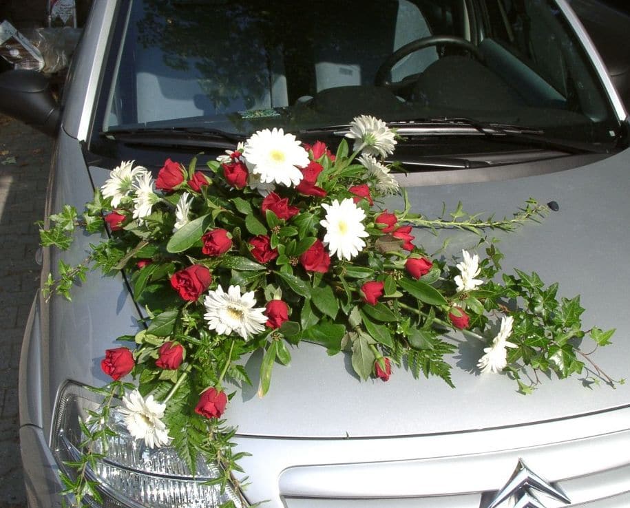 Blumen-Hecktor