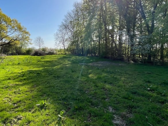 Waldhochzeit – Wiese in Alleinlage direkt am Wald