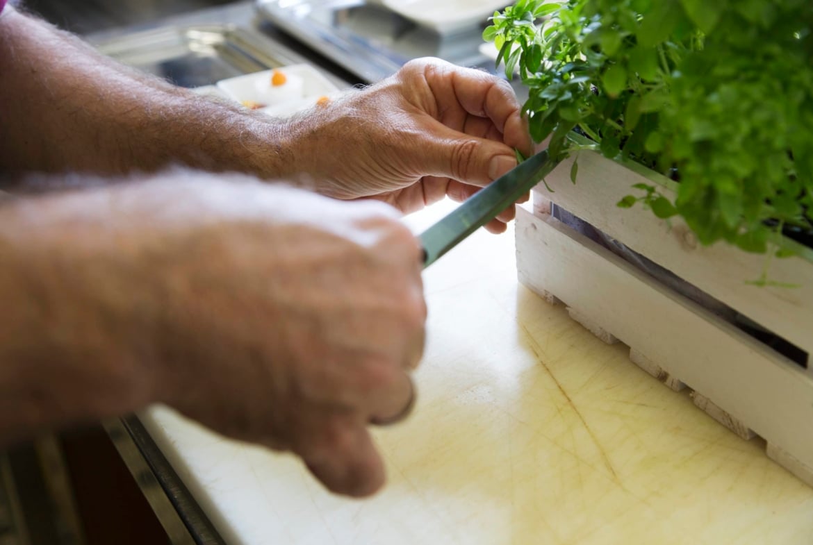 Hochwertiges Catering aus regionalen Produkten