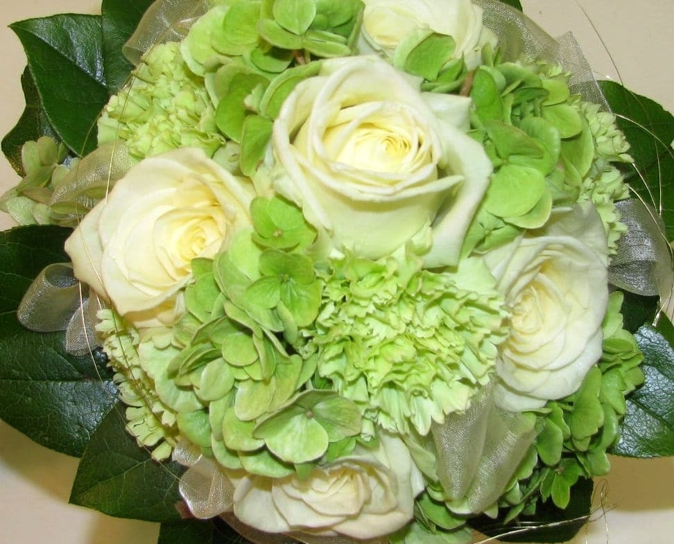 Blumen-Hecktor