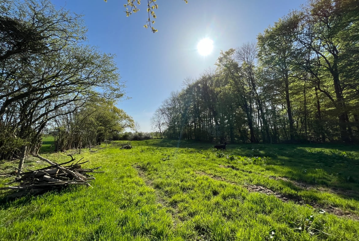 Waldhochzeit – Wiese in Alleinlage direkt am Wald