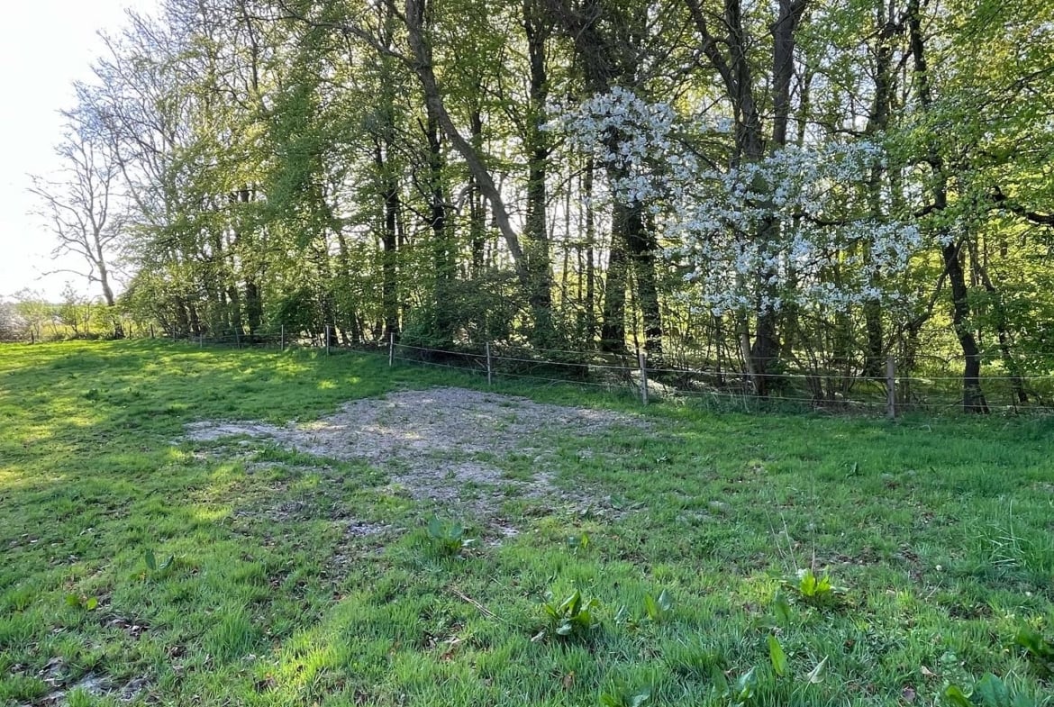 Waldhochzeit – Wiese in Alleinlage direkt am Wald
