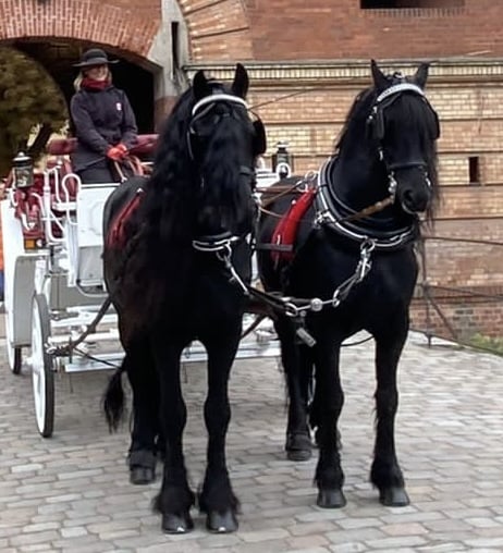 Fahren Sie edel und auf ganz besondere Weise.