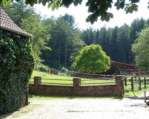 Hochzeit auf Gestüt Meiserhof