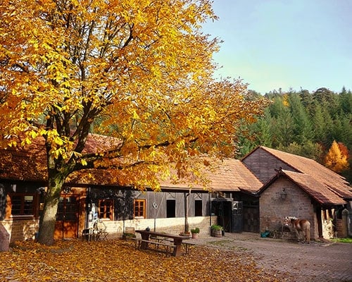 Hochzeit auf Gestüt Meiserhof
