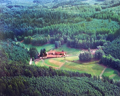 Hochzeit auf Gestüt Meiserhof
