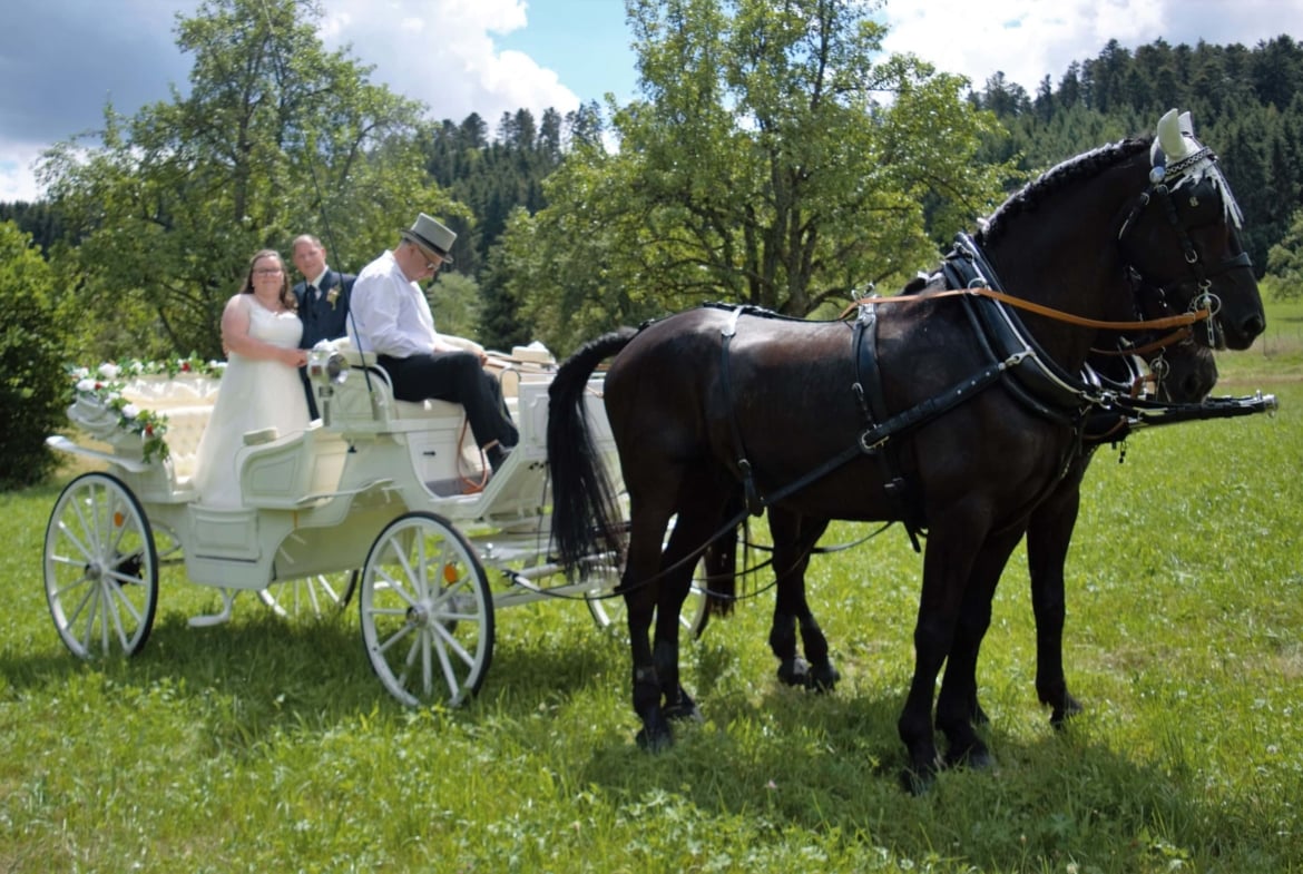Wir fahren Sie Standesgemäß