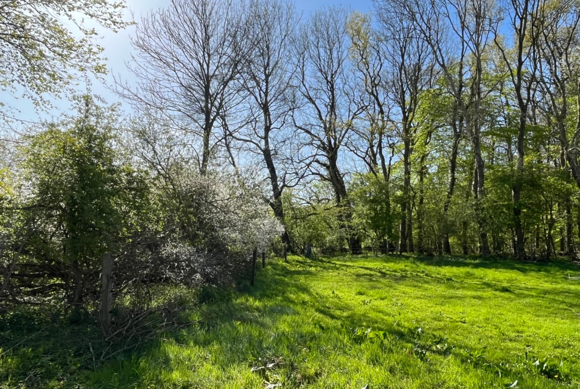 Waldhochzeit – Wiese in Alleinlage direkt am Wald