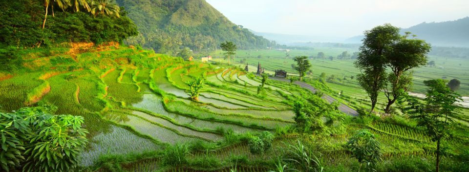 Bali