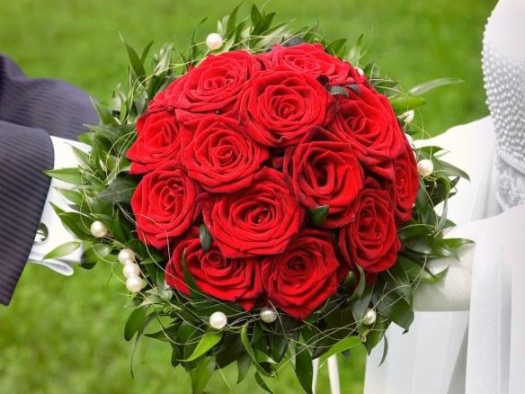 alles rund um die Hochzeit oder ander Events