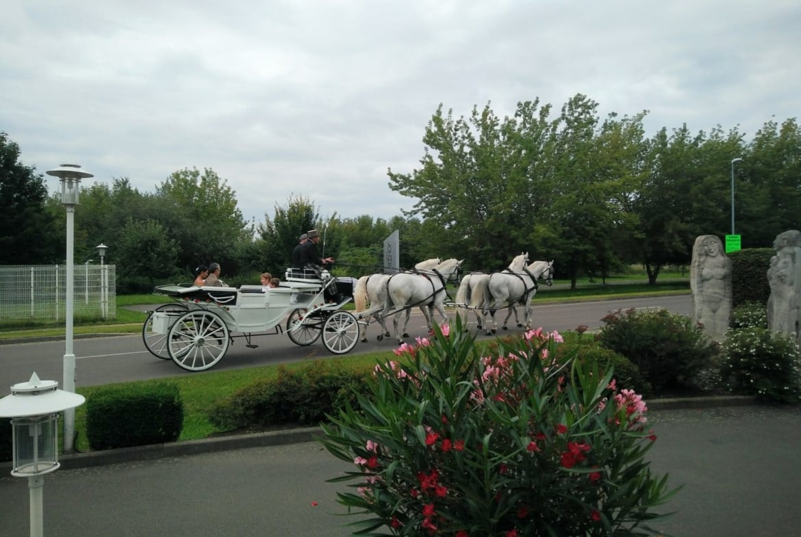 Hochzeit im Hotel Seehof und Restaurant Kräutergarten
