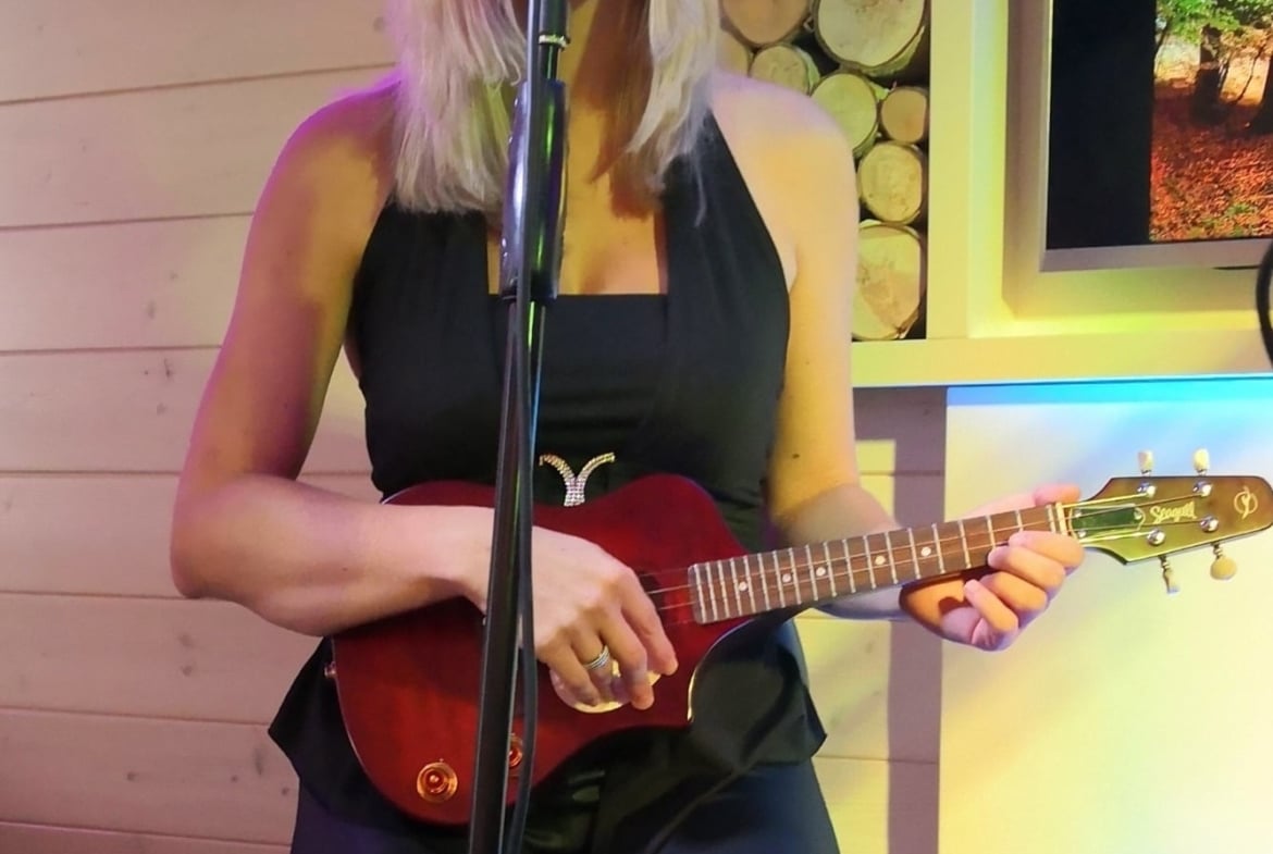 Livemusik für Hochzeit Geburtstage und Firmenfeier