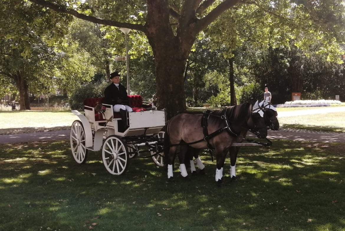 Hochzeitskutsche