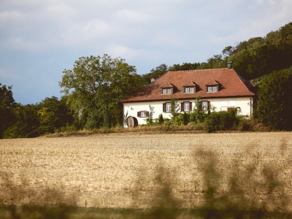 FEIERN IM WEINGUT ELFINGER BERG MAULBRONN