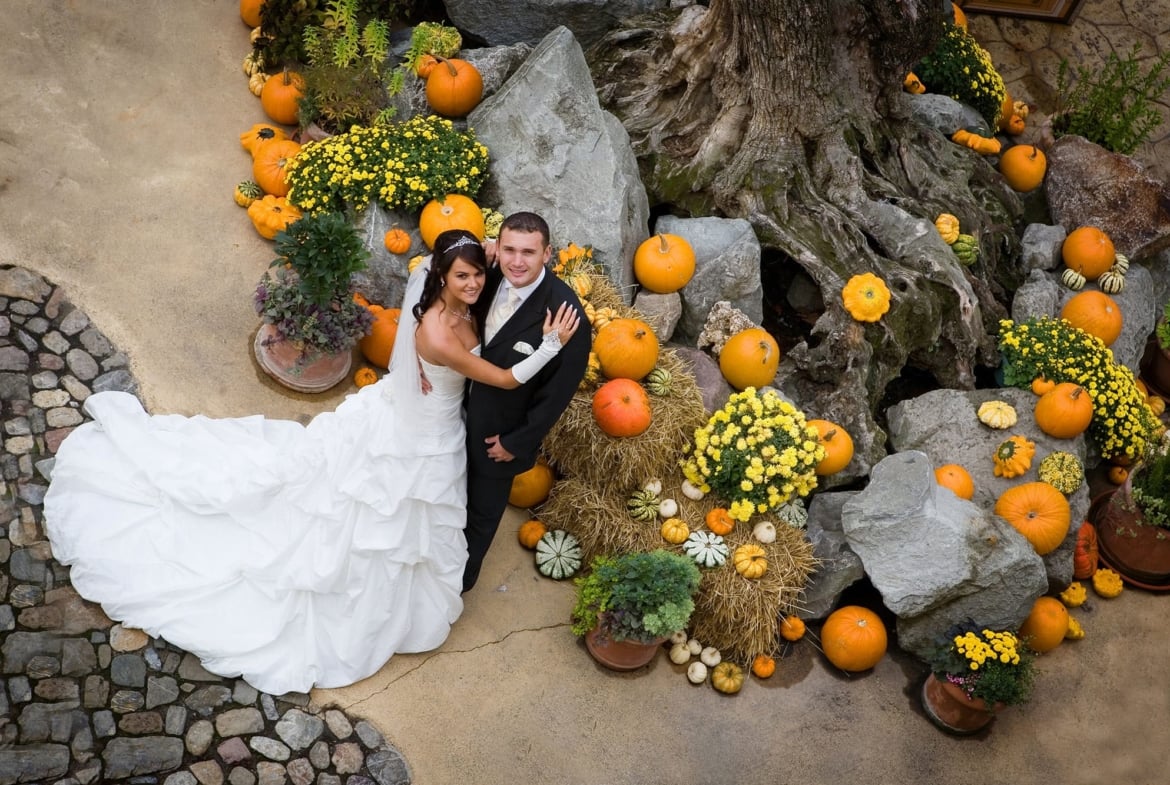 Michael Zimberov Hochzeitsfotograf / Kameramann aus Freiburg