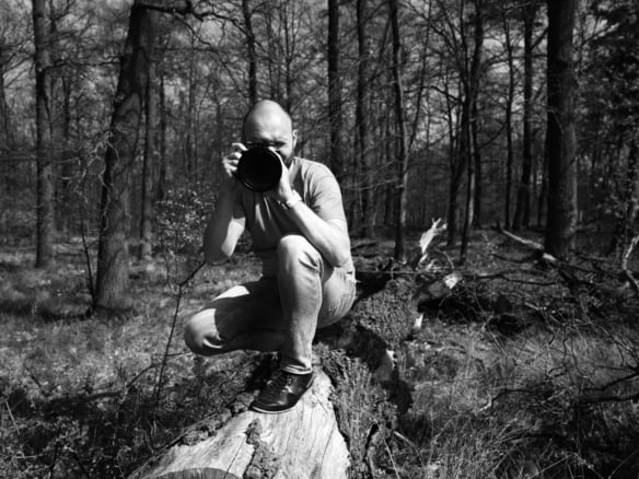 Fotografie, Hochzeit, Portät, Tiere