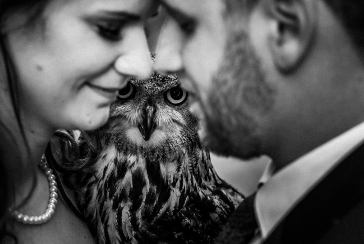 Heiraten auf Burg Guttenberg