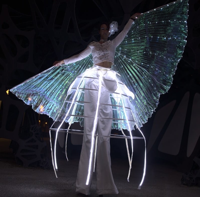 Hochzeits-Feuershow, LED Show, Stelzenlauf, Kinderschminken