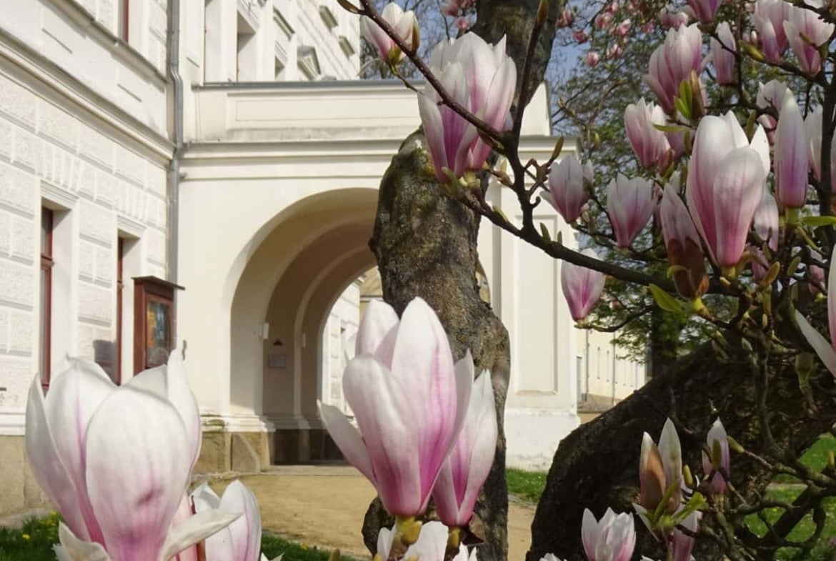 Hochzeit auf dem Schloss Krobnitz