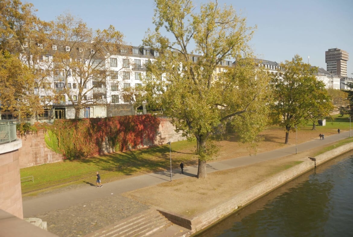 Ballsaal am Mainufer