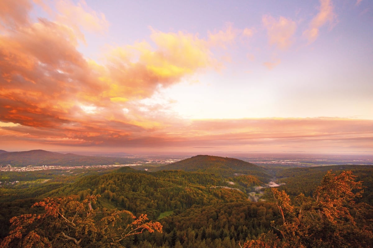 SCHWARZWALD-PANORAMA_Wildromantiches-Albtal
