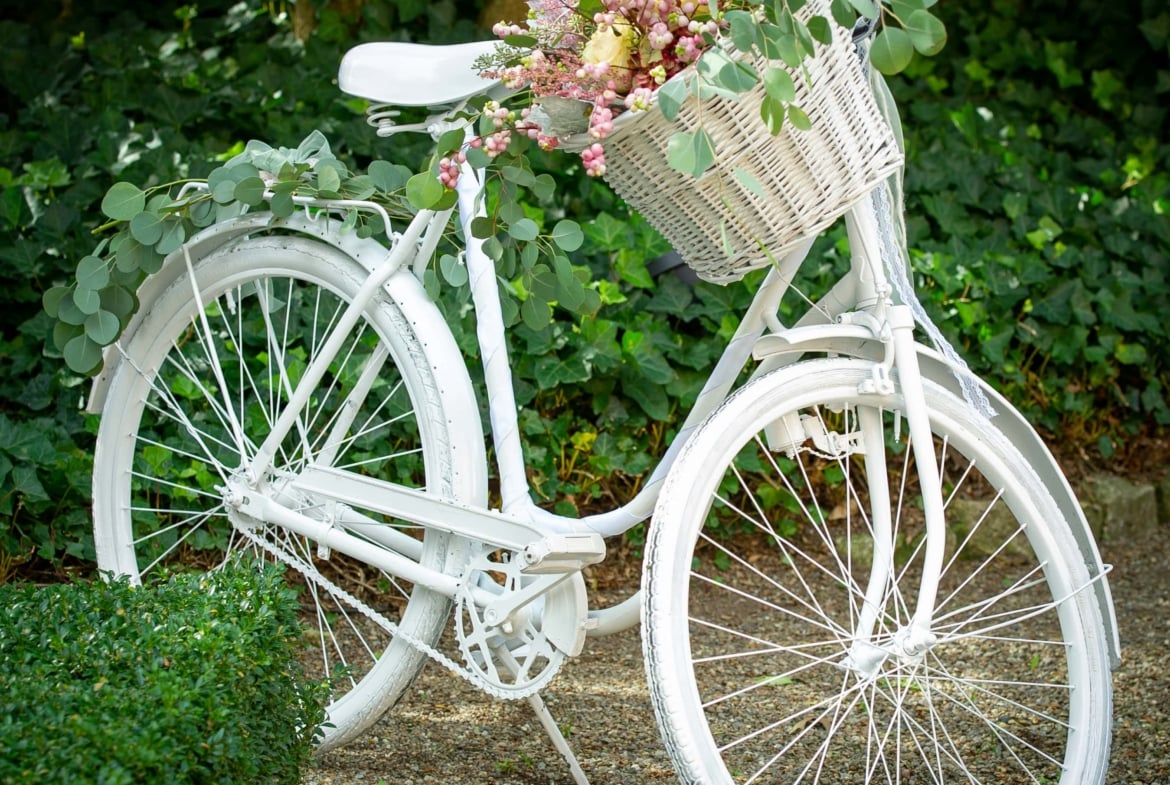 Freie Rednerin, Hochzeitsmoderatorin