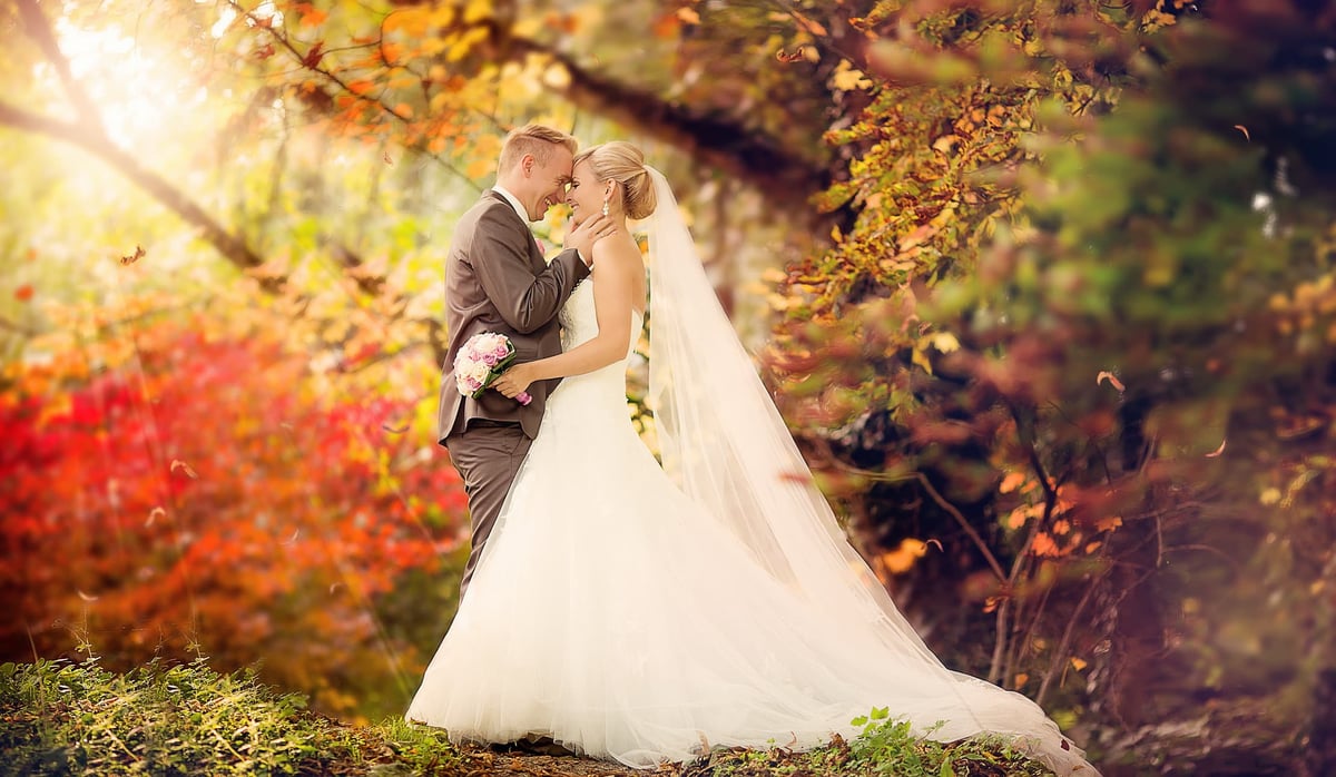 Traumhochzeit auf Schloss Dennenlohe