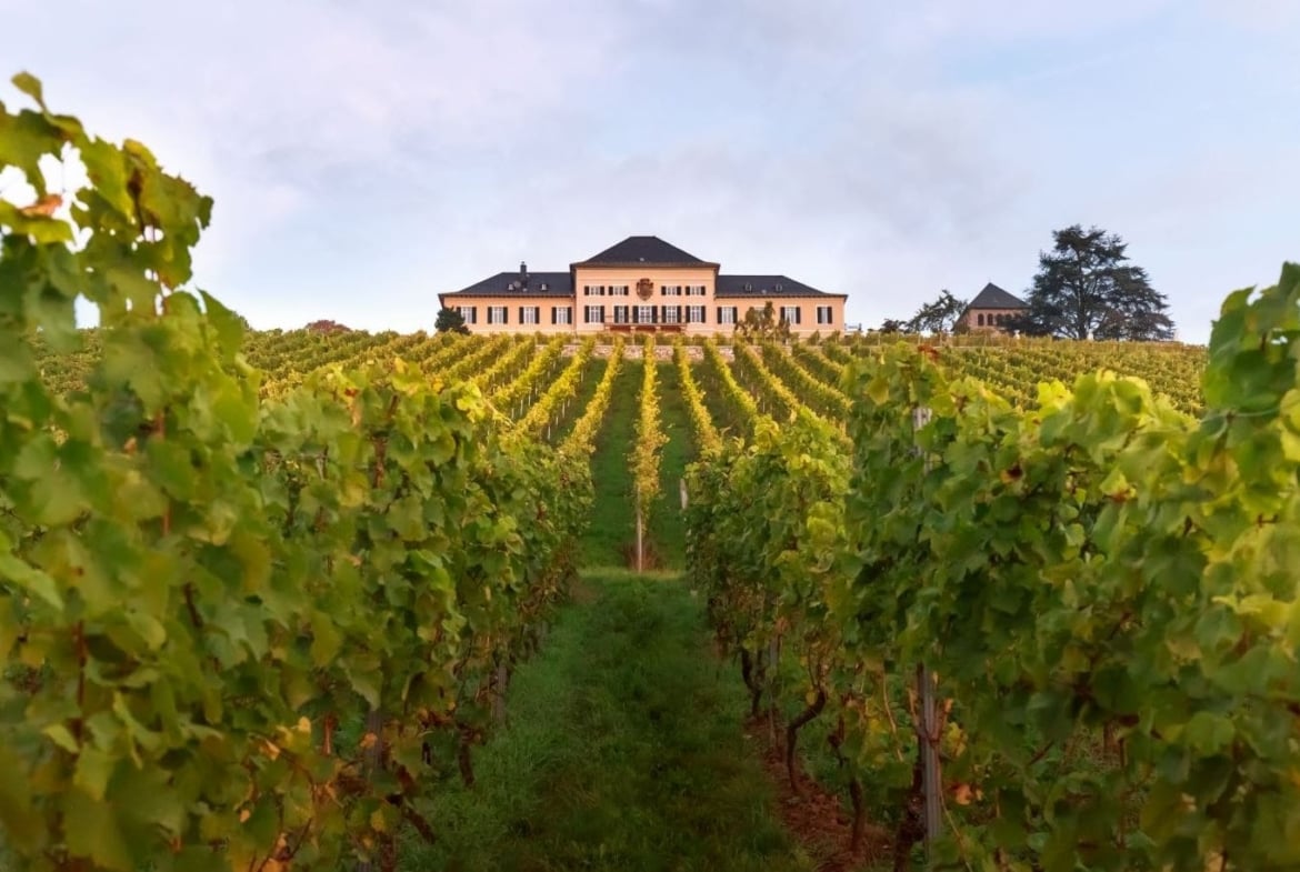 Heiraten auf Schloss Johannisberg