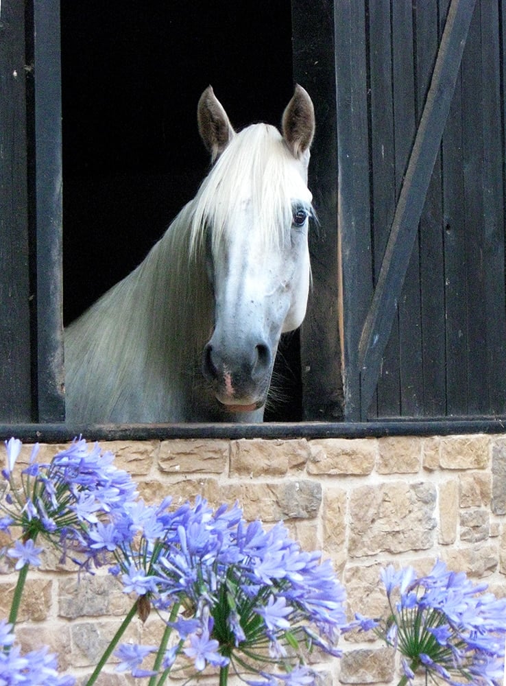 Startseite-Berber