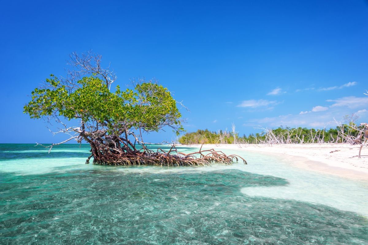 Strand in Kuba